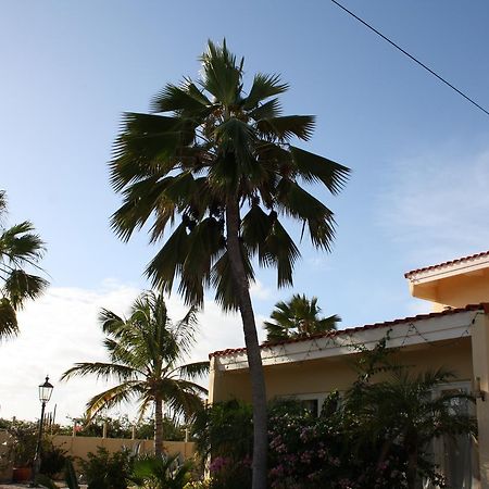 Hidden Garden Aruba Hotel Babijn Exterior foto