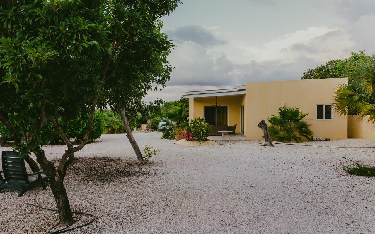 Hidden Garden Aruba Hotel Babijn Quarto foto