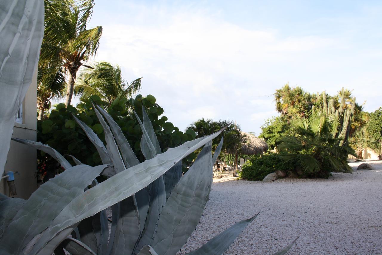 Hidden Garden Aruba Hotel Babijn Quarto foto